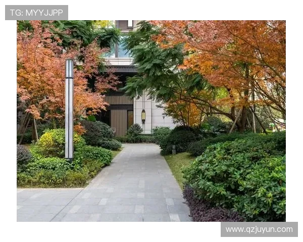 成都与杭州足球队赛后复盘分析双方战术意识与表现差异